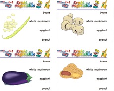 Holzcomputer fruit-vegetable 15.pdf